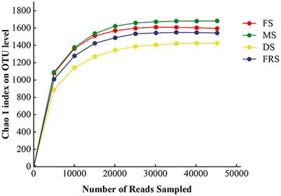 Dynamic succession of the quantity and composition of epiphytic microorganisms at different growth stages on rice surface